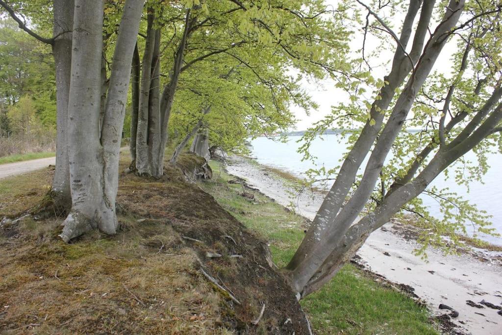 TroenseEskaerhus Pa Tasinge, Taet Pa Svendborg - Afdeling Med Egen Indgang公寓 外观 照片